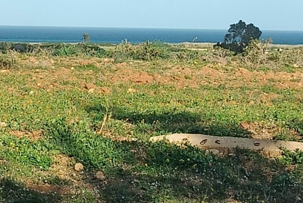 Land in ,Hammam el ghezaz