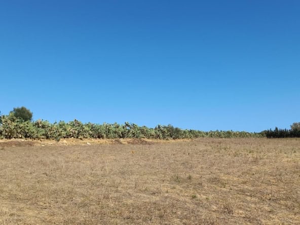 Land in Nabeul,