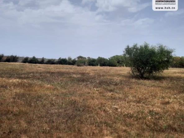 Land in Nabeul,Hammam el ghezaz