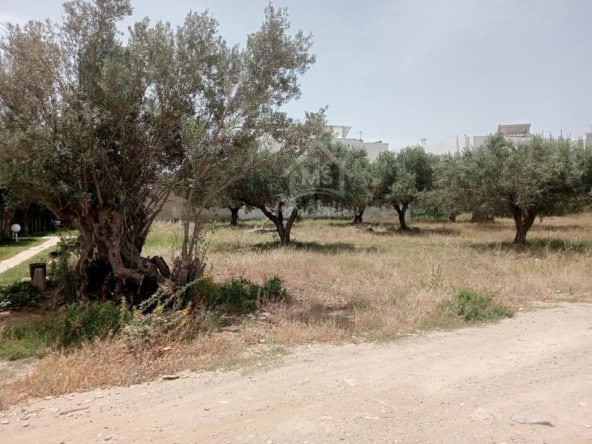 Land in Nabeul,