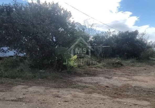 Land in Nabeul,Nabeul
