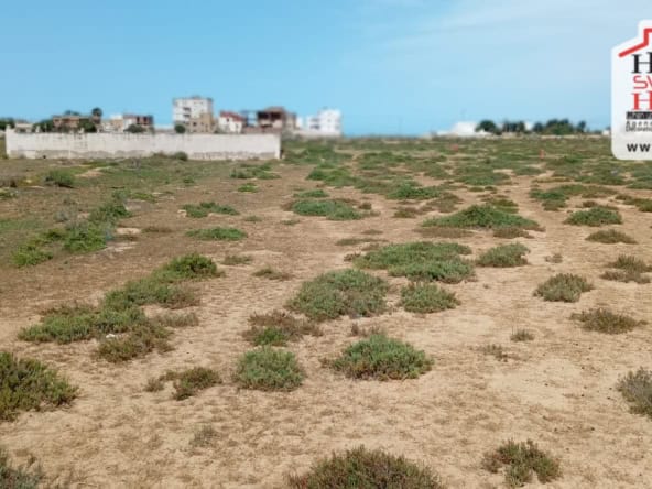 Land in Ariana,Raoued