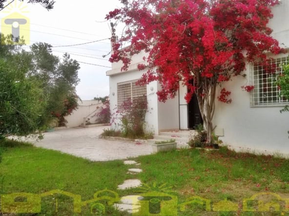 House in Nabeul,Hammamet