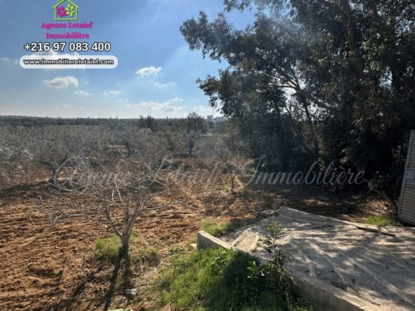 Land in Sousse,Chott Mariem