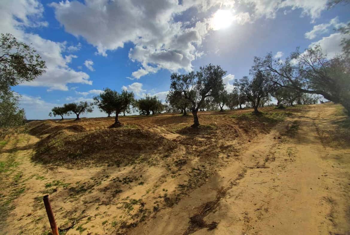 Land in ,Hammamet Sud