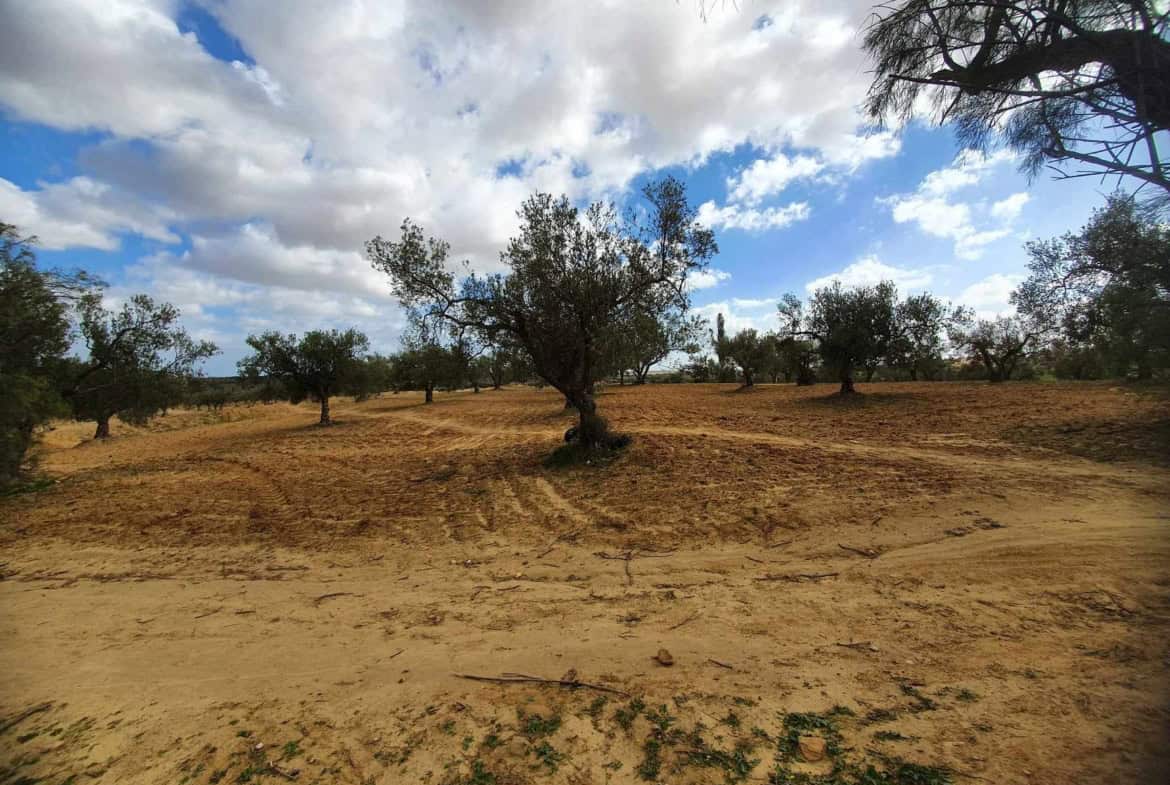 Land in ,Hammamet Sud