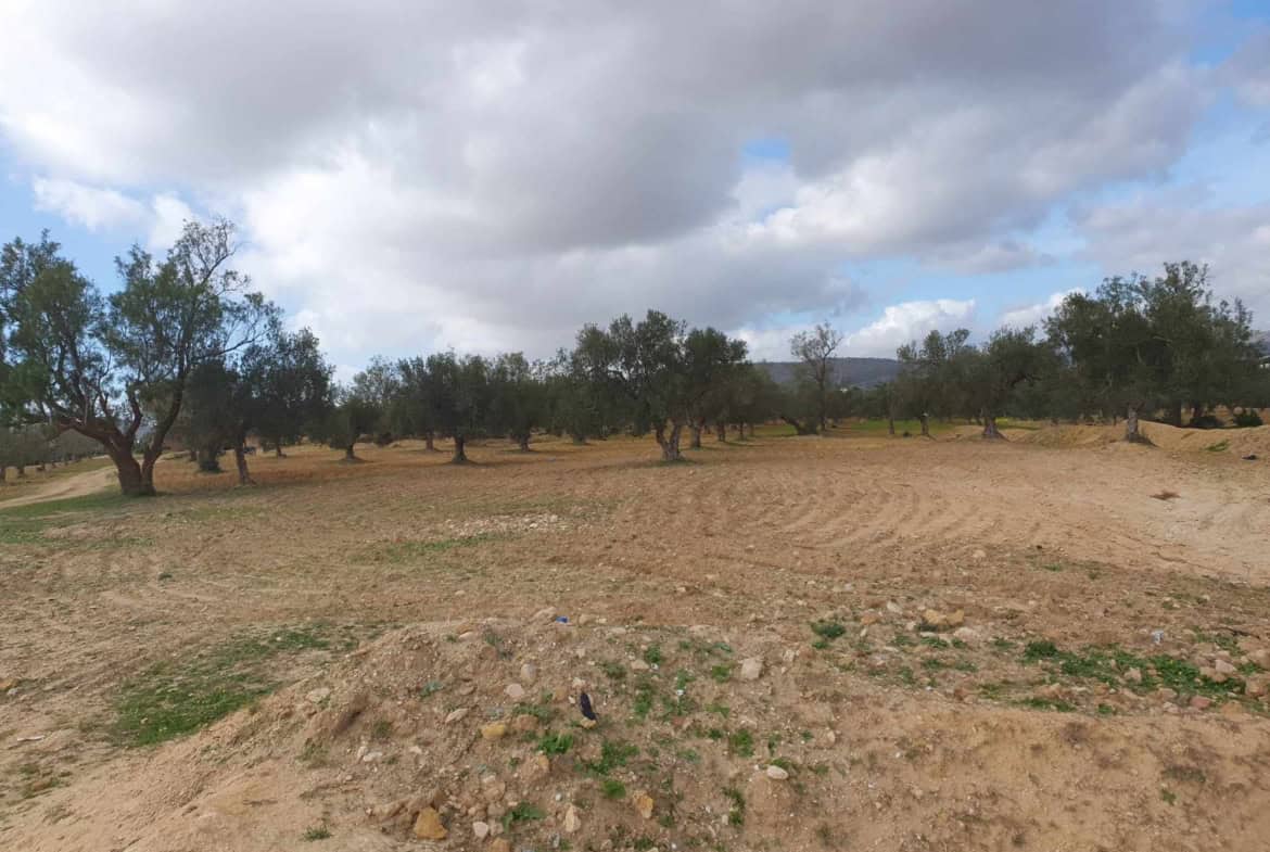 Land in ,Hammamet Sud