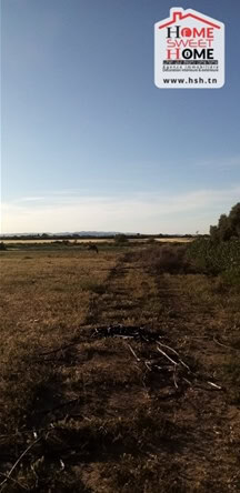 Land in Ariana,