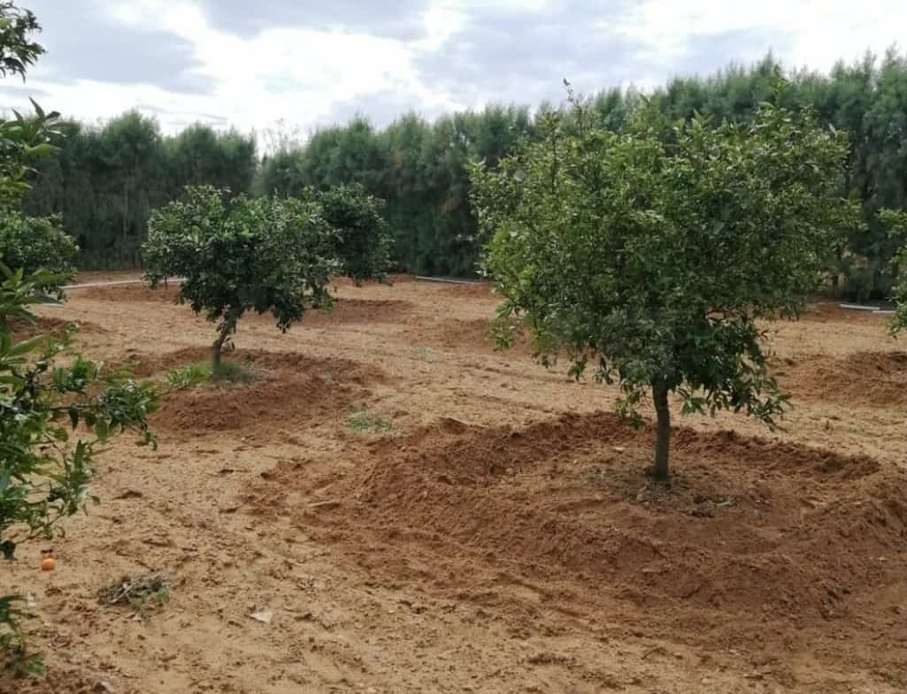Land in Nabeul,Soliman