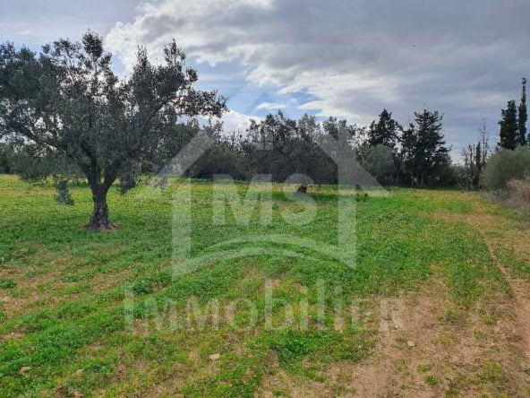 Land in Nabeul,Nabeul