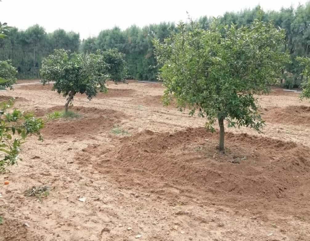 Land in Nabeul,Soliman