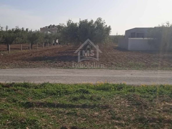 Land in Nabeul,Hammamet Sud