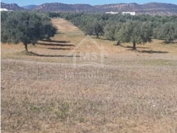 Land in Nabeul,Hammamet Sud