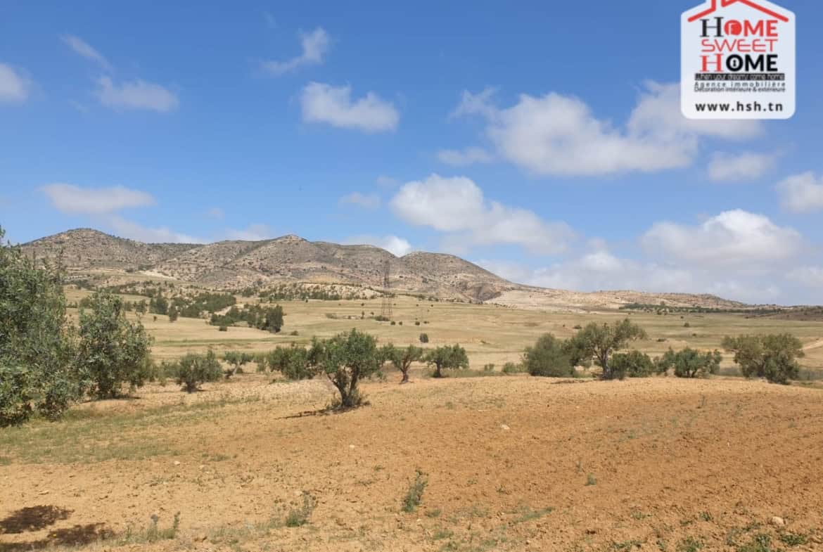 Land in Zaghouan,Zaghouan
