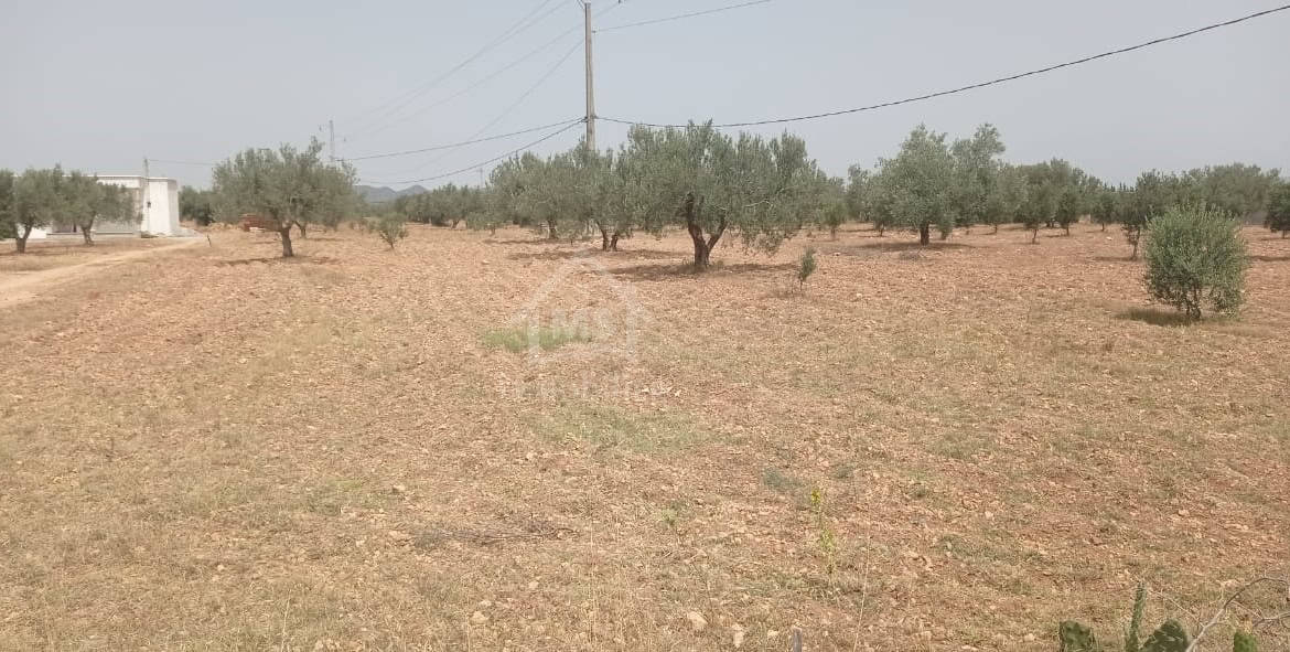 Land in Nabeul,Hammamet Sud