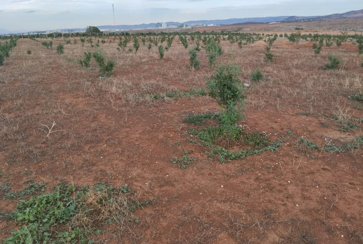 Farm in Zaghouan,Zaghouan