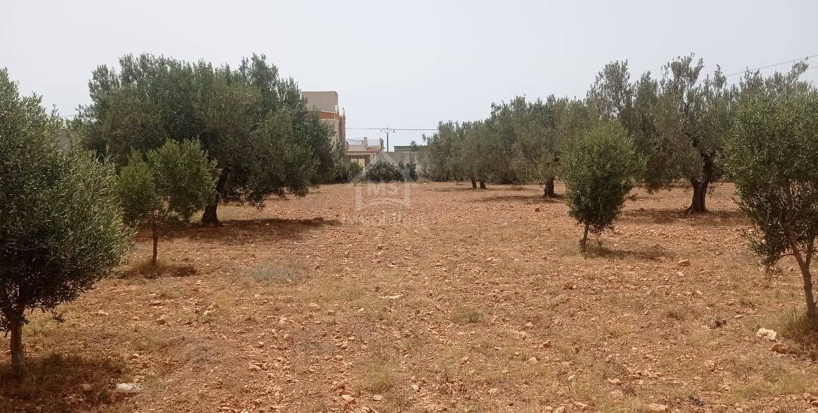Land in Nabeul,Hammamet Sud