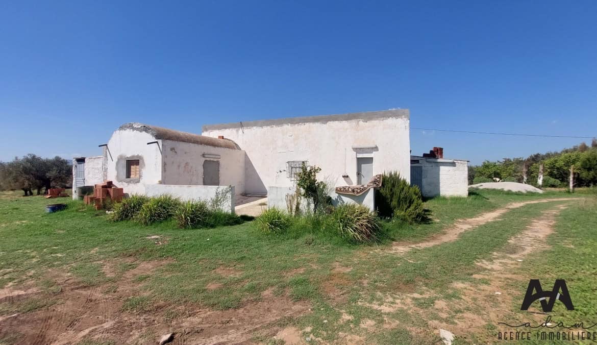 Farm in Nabeul,Nabeul
