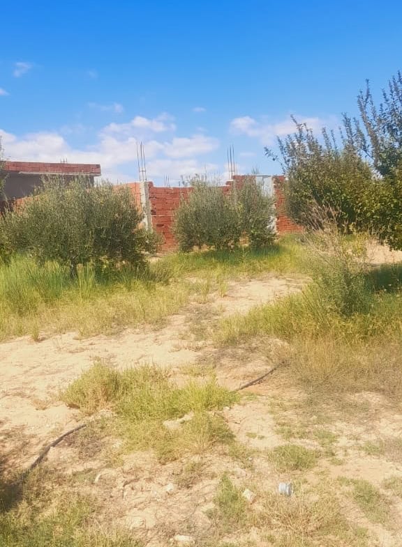Land in Kasserine,Feriana