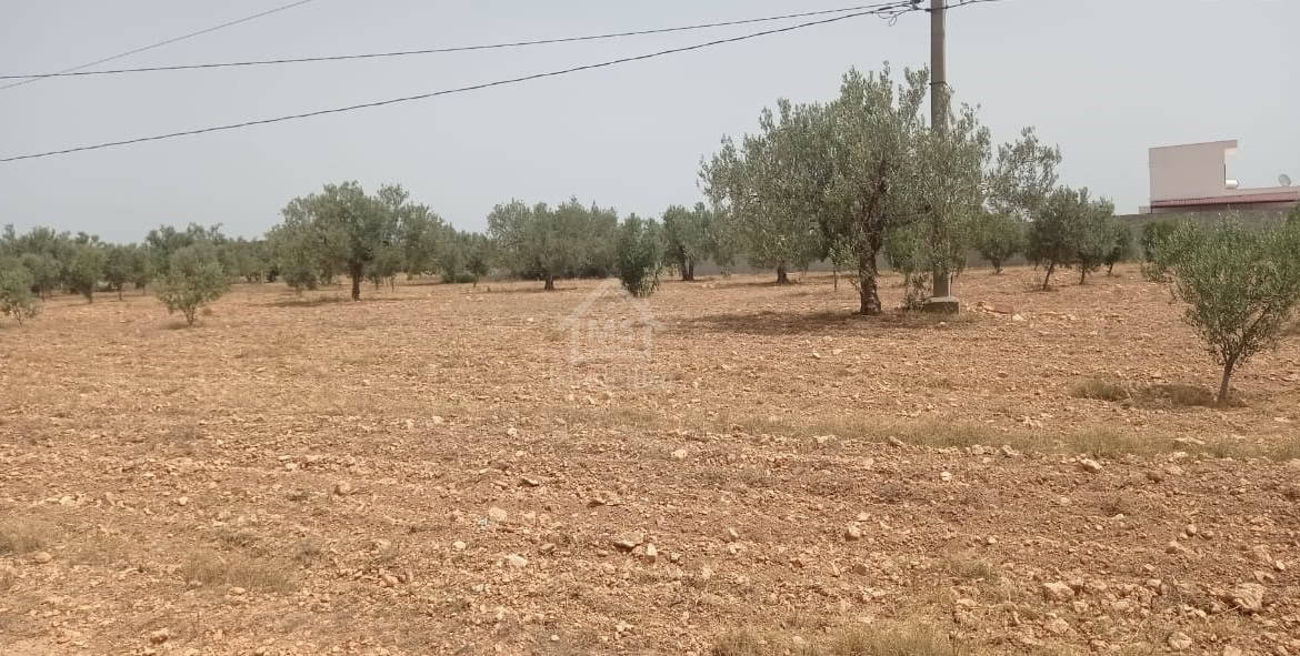 Land in Nabeul,Hammamet Sud
