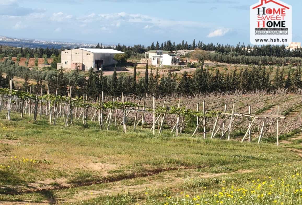 Land in Ben arous,Mornag