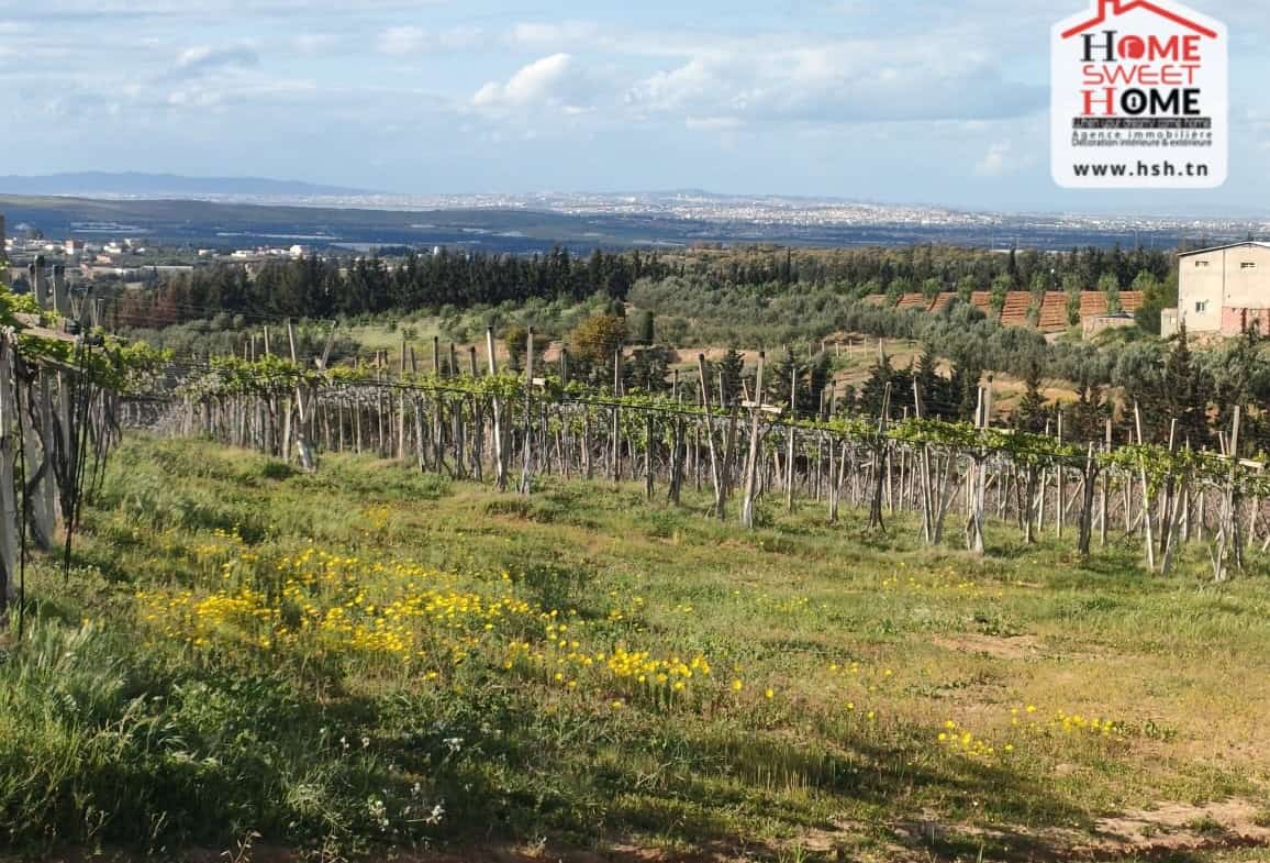 Land in Ben arous,Mornag