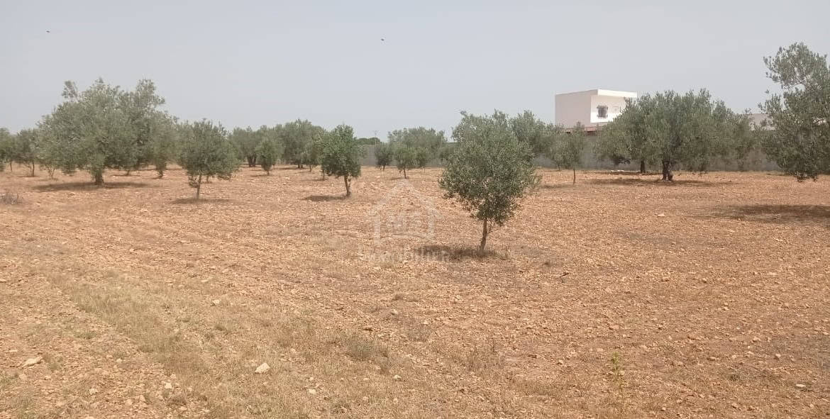 Land in Nabeul,Hammamet Sud