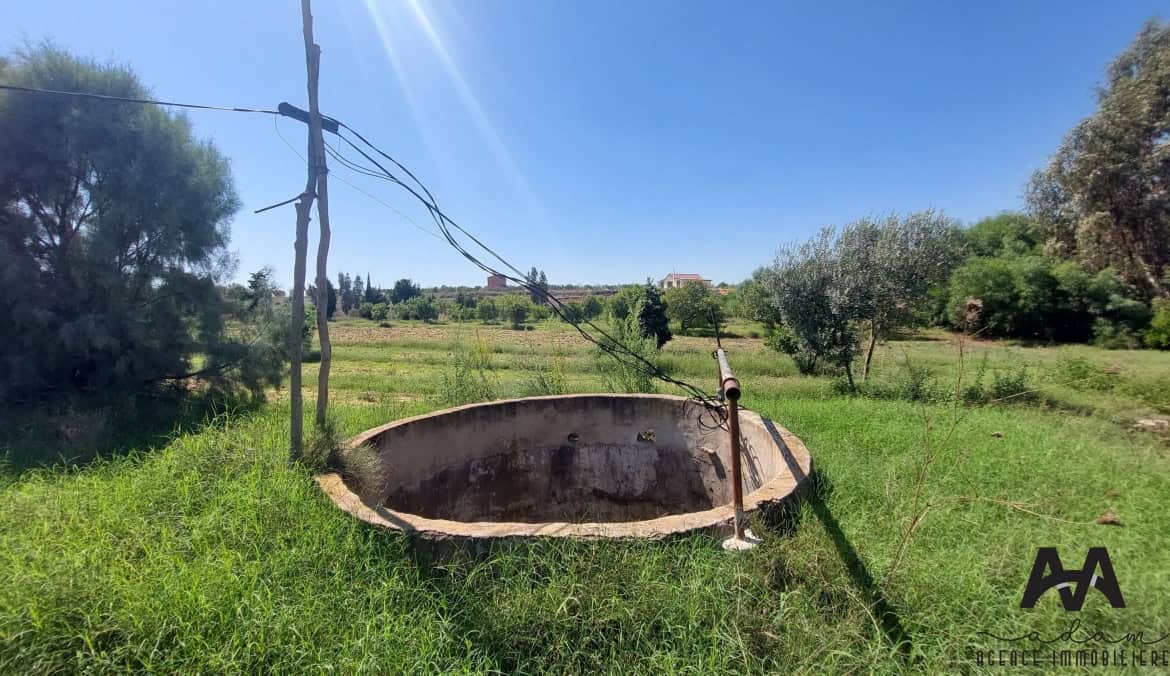 Farm in Nabeul,Nabeul