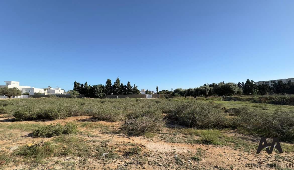 Farm in Nabeul,Hammamet