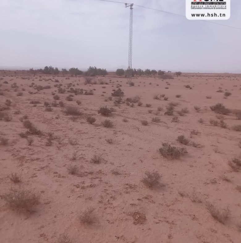 Land in Gafsa,Gafsa nord
