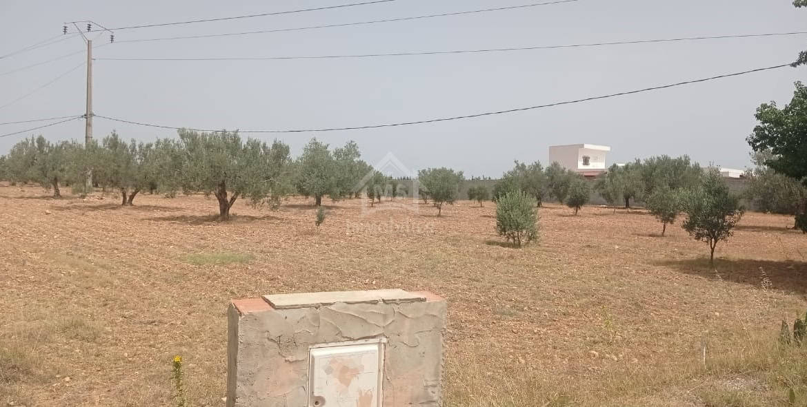 Land in Nabeul,Hammamet Sud