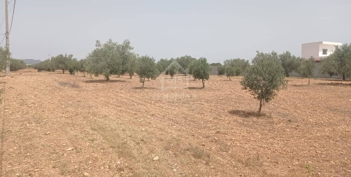 Land in Nabeul,Hammamet Sud