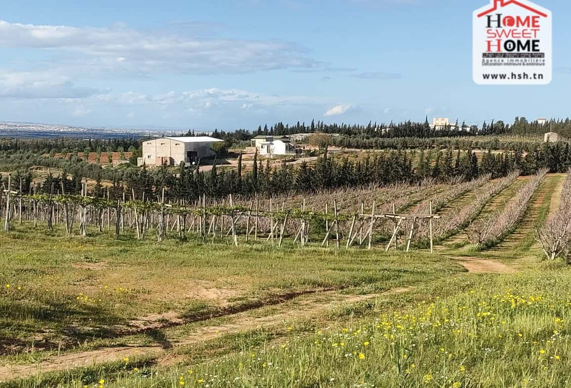 Land in Ben arous,Mornag