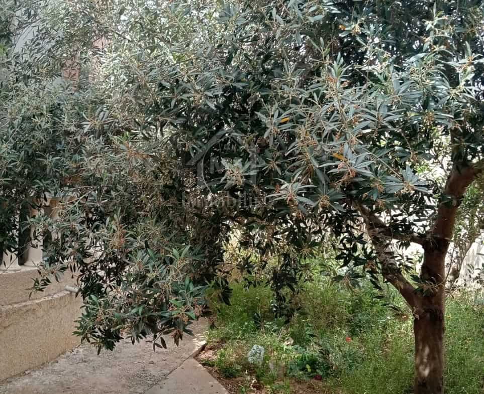 House in Nabeul,Hammamet Sud