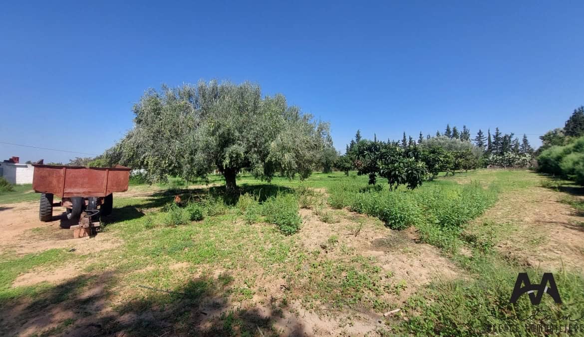 Farm in Nabeul,Nabeul