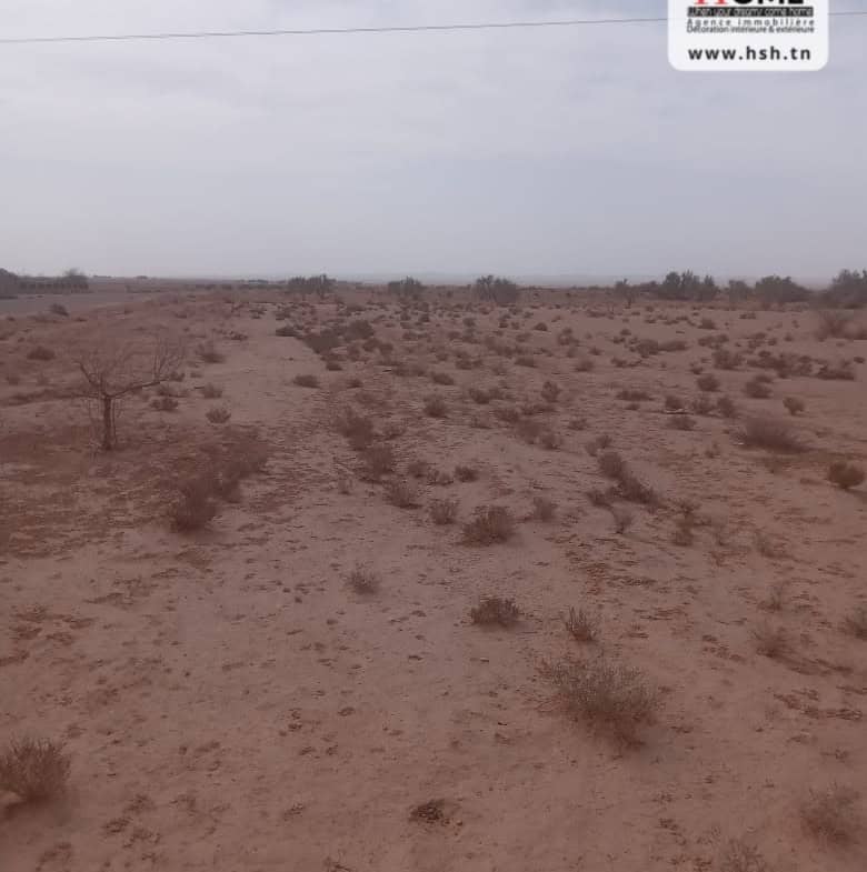 Land in Gafsa,Gafsa nord