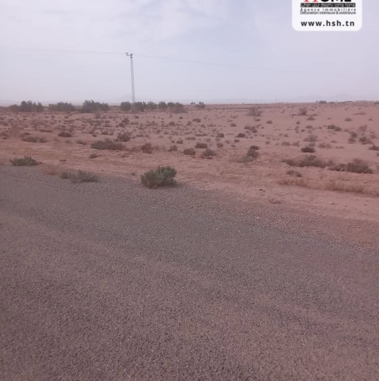Land in Gafsa,Gafsa nord
