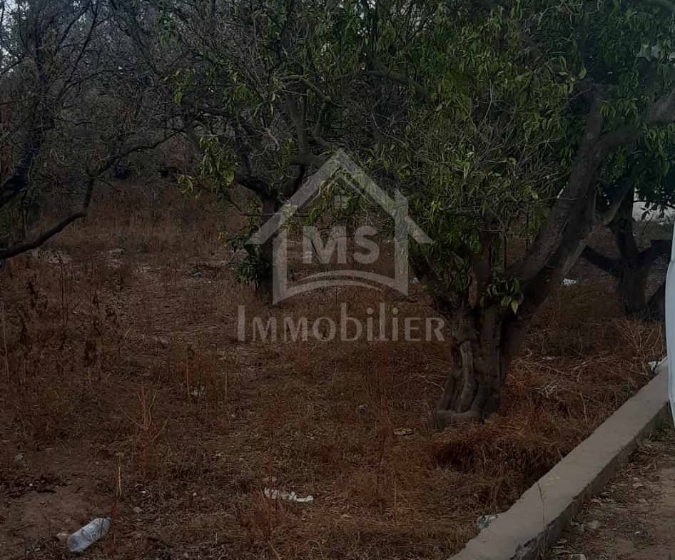 Land in Nabeul,Nabeul