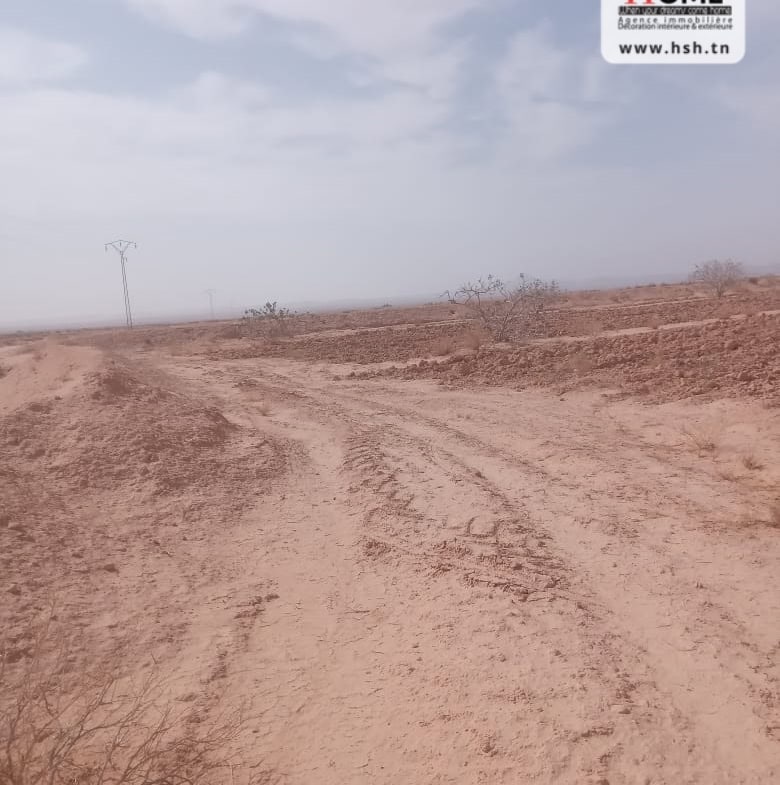 Land in Gafsa,Gafsa nord