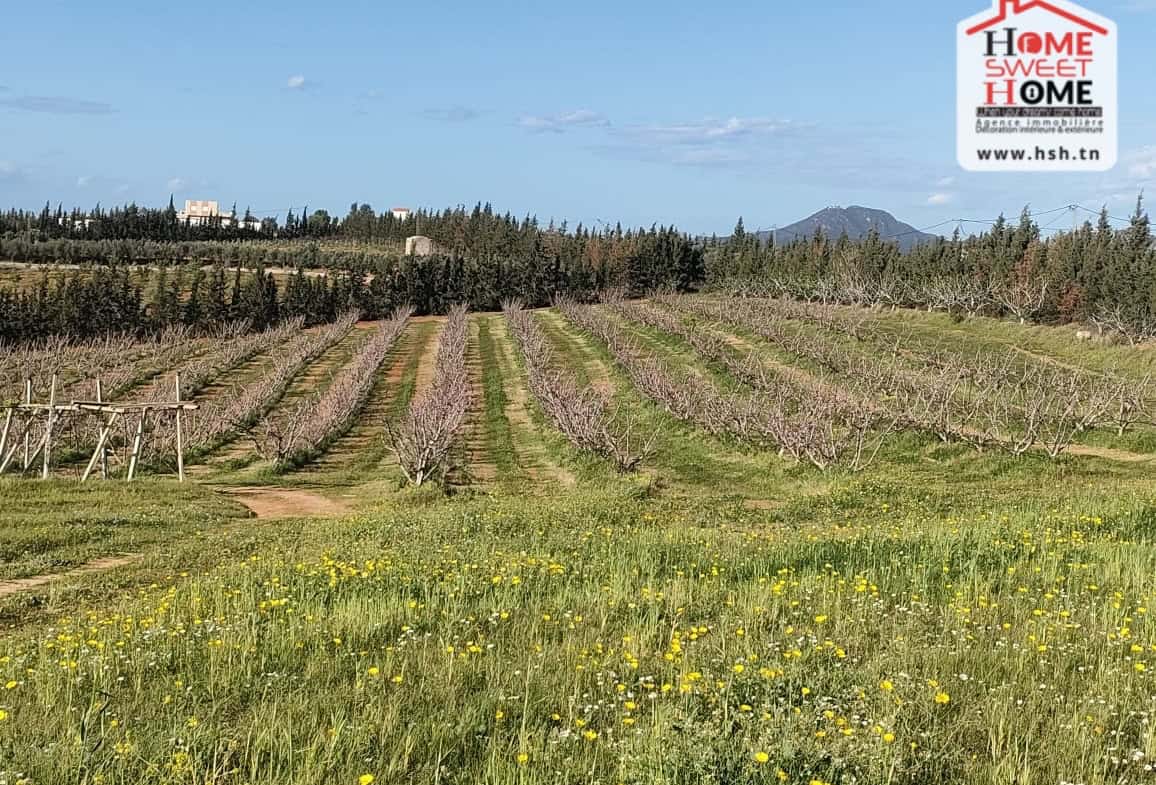 Land in Ben arous,Mornag