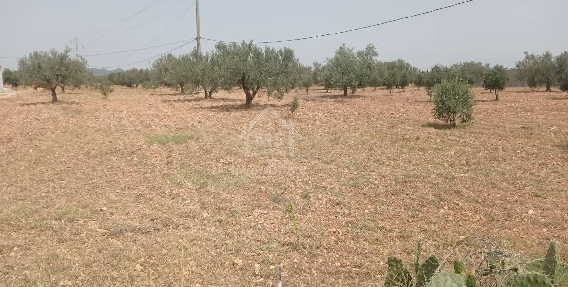 Land in Nabeul,Hammamet Sud