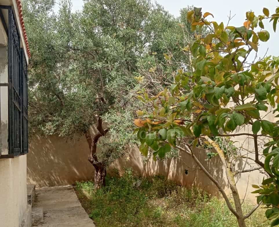 House in Nabeul,Hammamet Sud