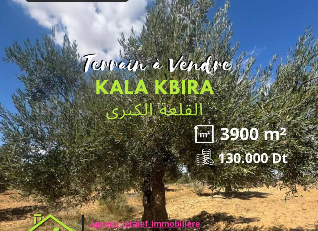 Land in Sousse,Kalaa el kebira