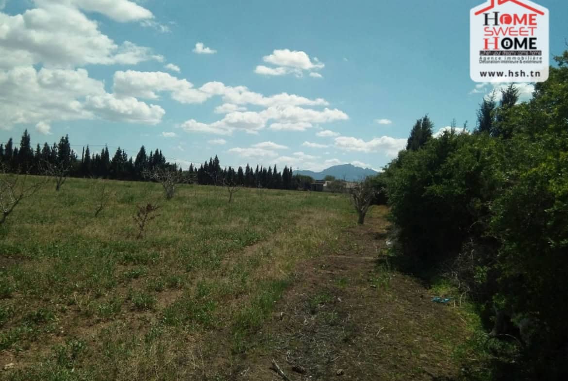 Land in Ben arous,Ben arous