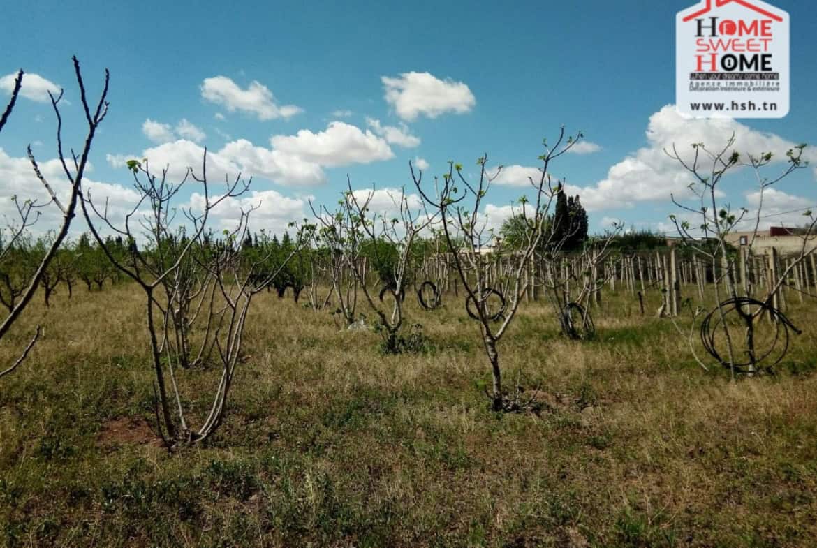 Land in Ben arous,Ben arous
