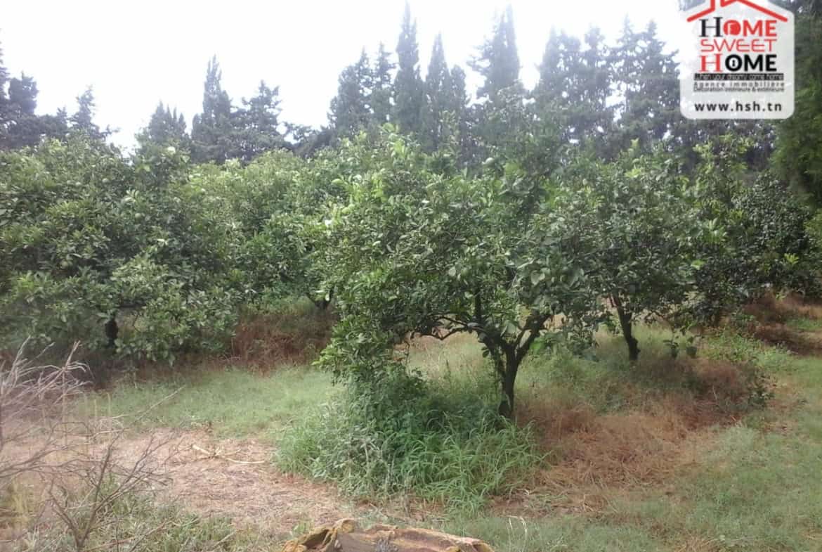 Land in Nabeul,Soliman