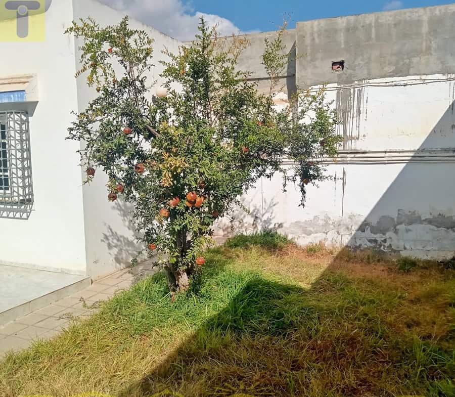 House in Nabeul,Hammamet
