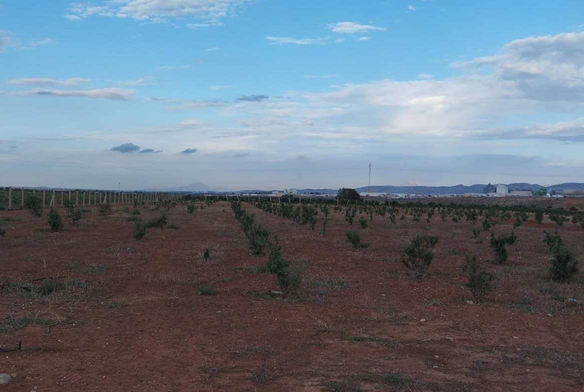 Farm in Zaghouan,Zaghouan