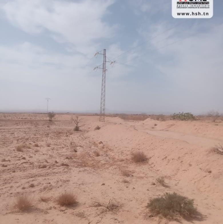 Land in Gafsa,Gafsa nord