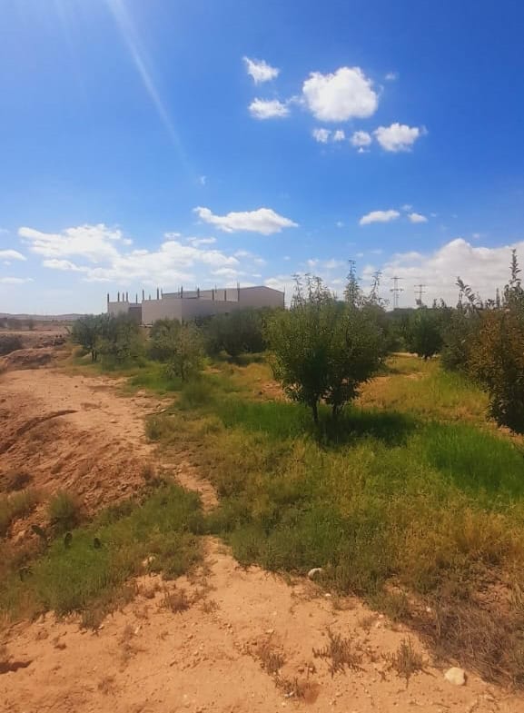 Land in Kasserine,Feriana